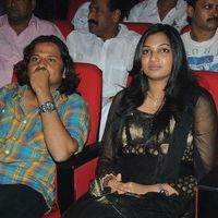 Jr NTR's Oosaravelli Audio Launch Gallery | Picture 77119